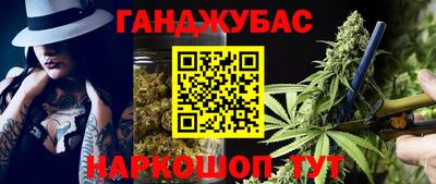 гашик Дубна