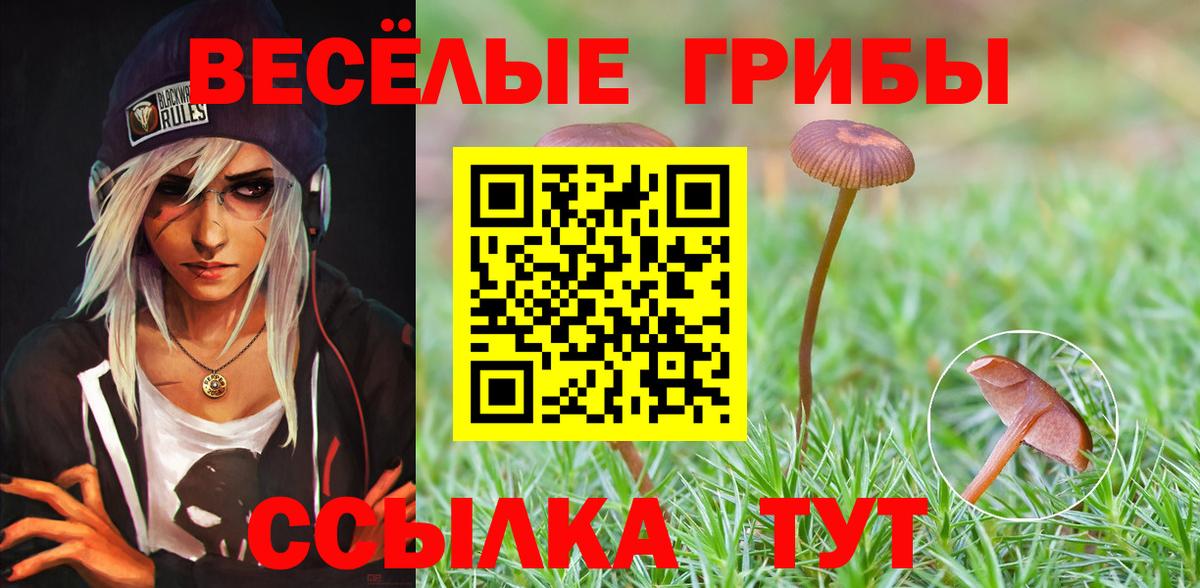 Псилоцибиновые грибы мухоморы  Вход с VPN  Кушва 