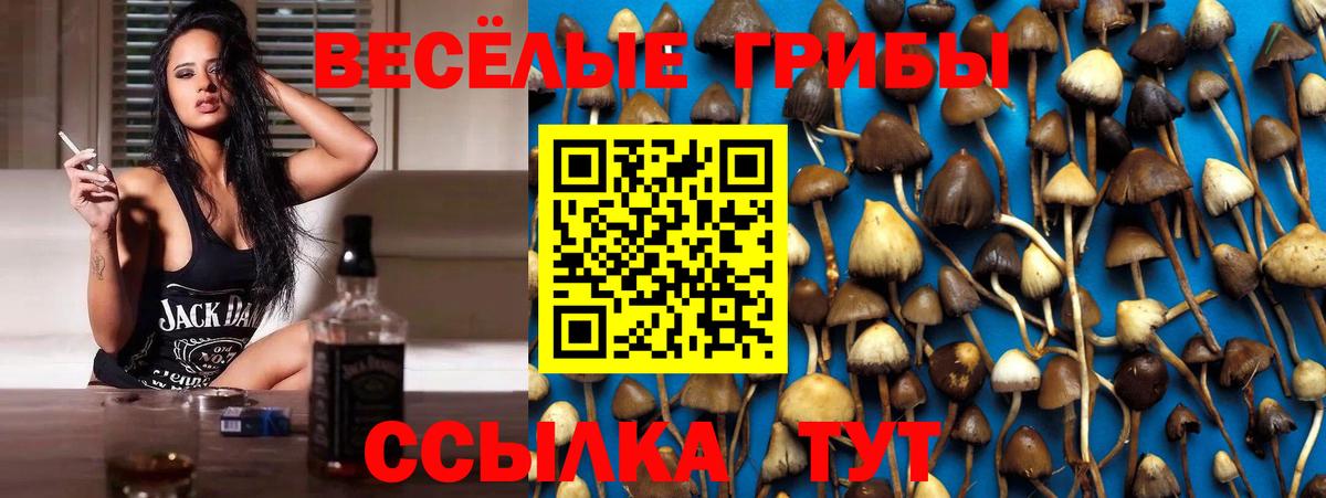 МЕФ Кушва